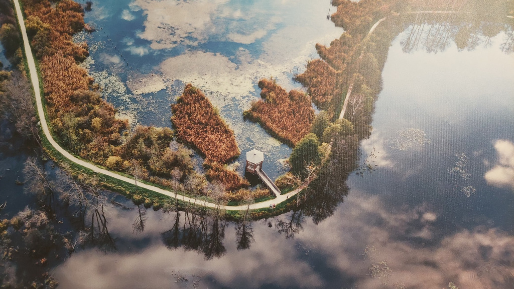 Naturschutzgebiet Ostufer  