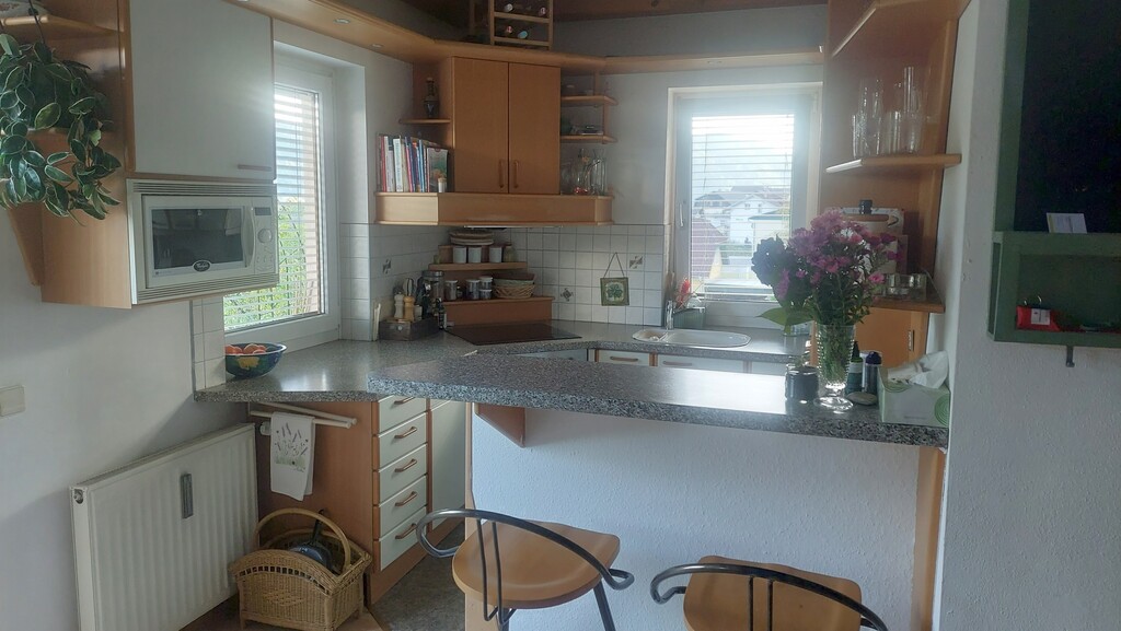 Die Küche mit E-Herd, Geschirrspüler, Backrohr, Airfryer usw.