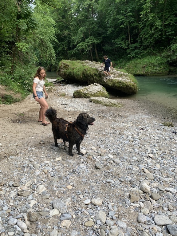 fluss Erlauf und Wandergebiet gleich hinter dem Haus
