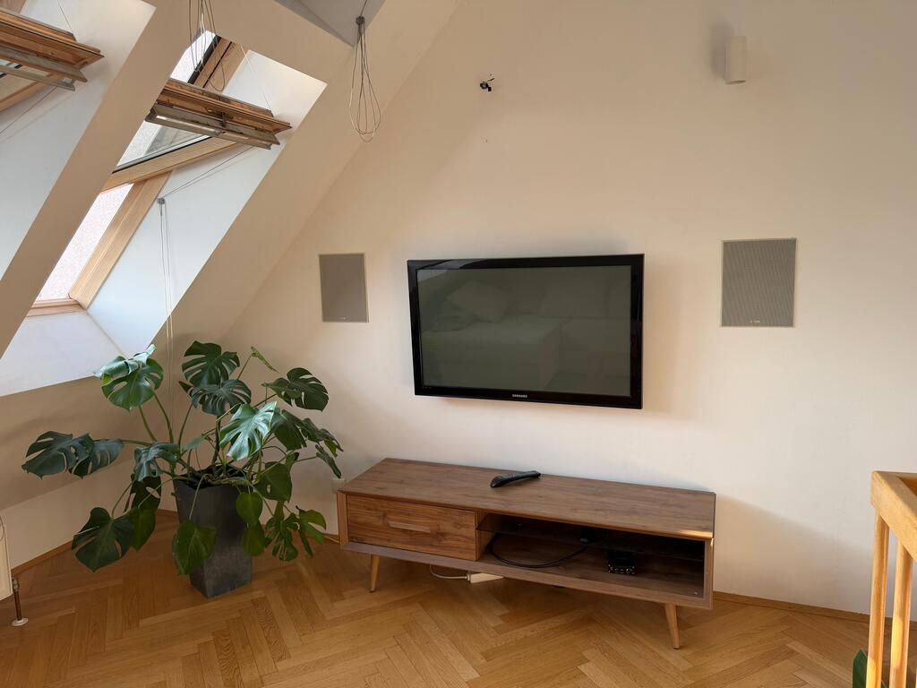 TV