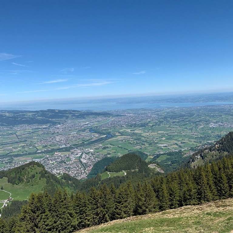 A view to the Bodensee (Lake Constance)