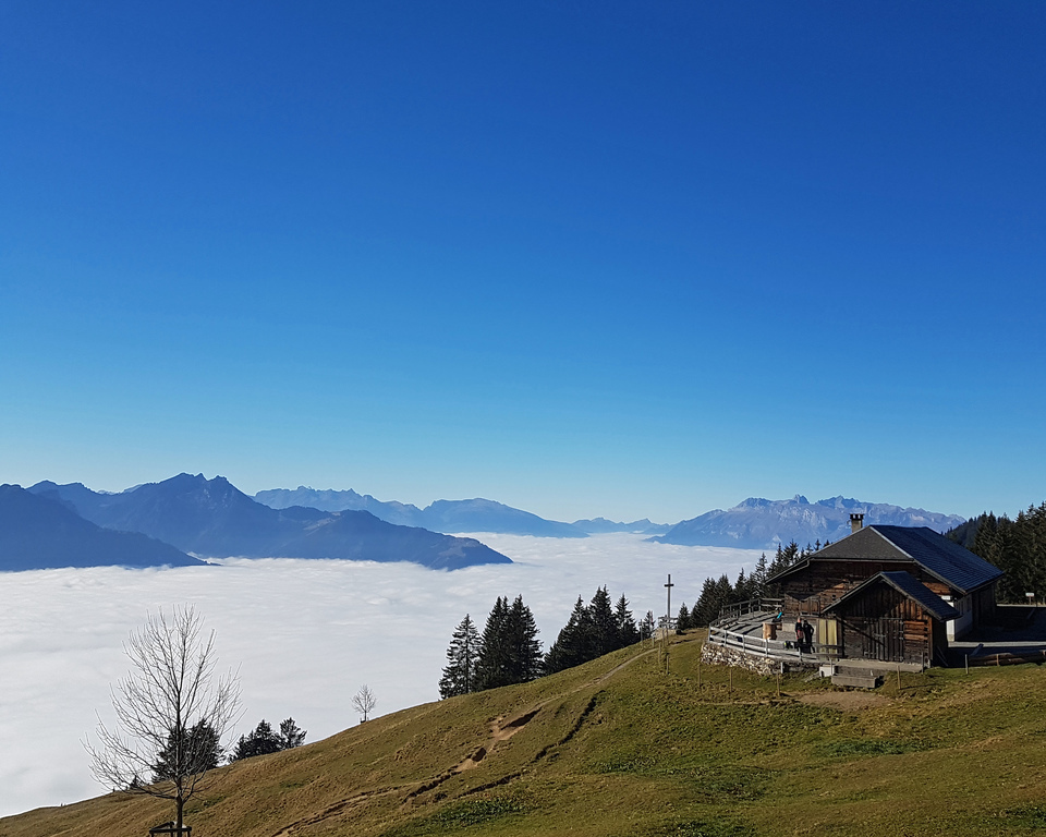 Autumn mist in the valley