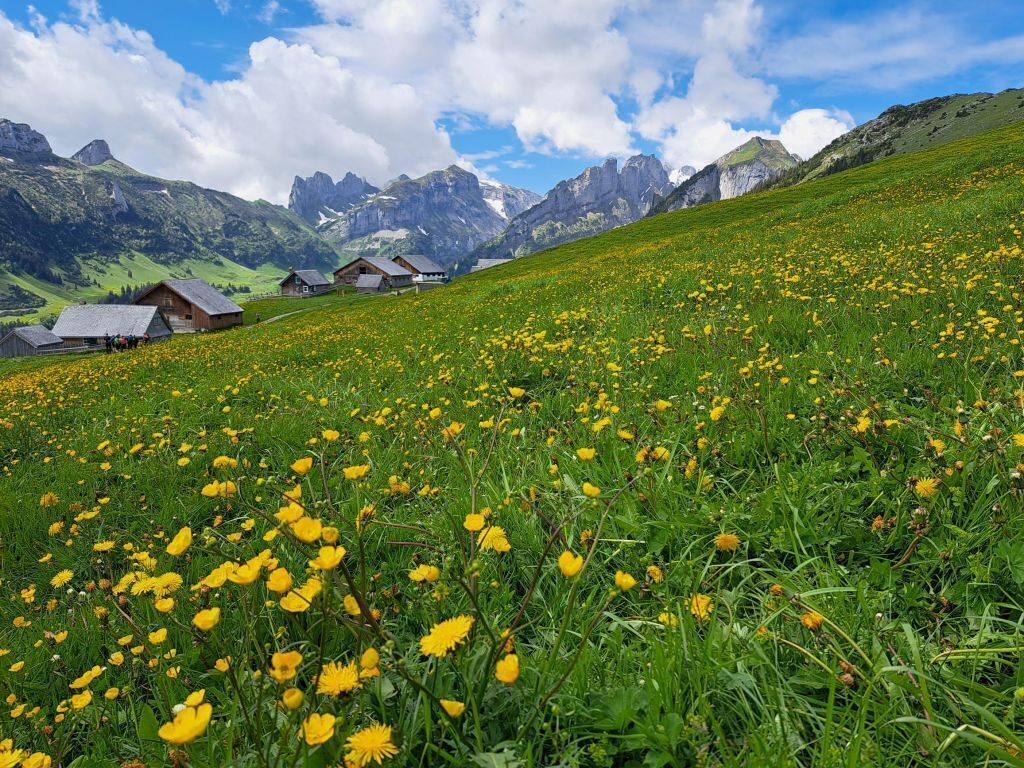 Spring in the Alps