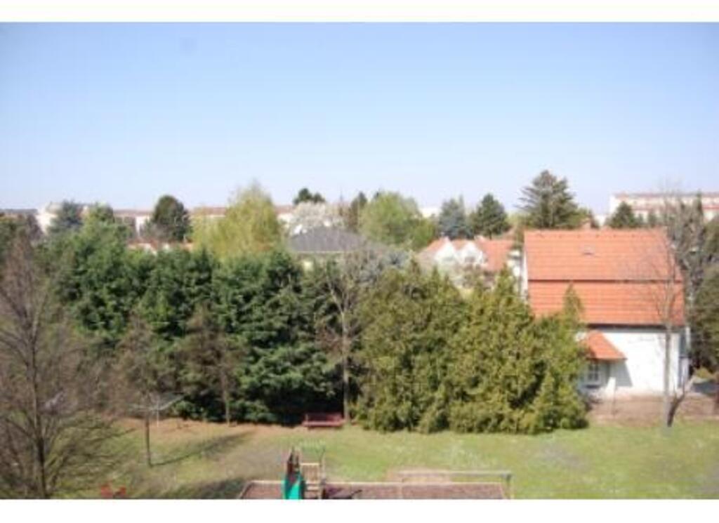 a view from the living-room
