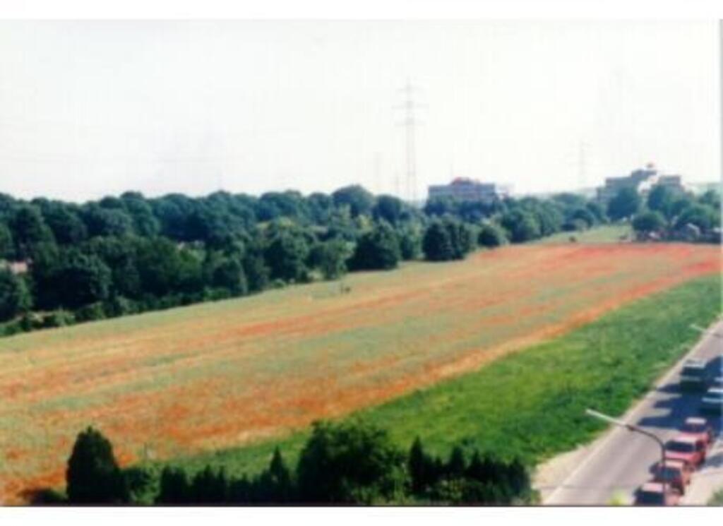 a view from the balcony
