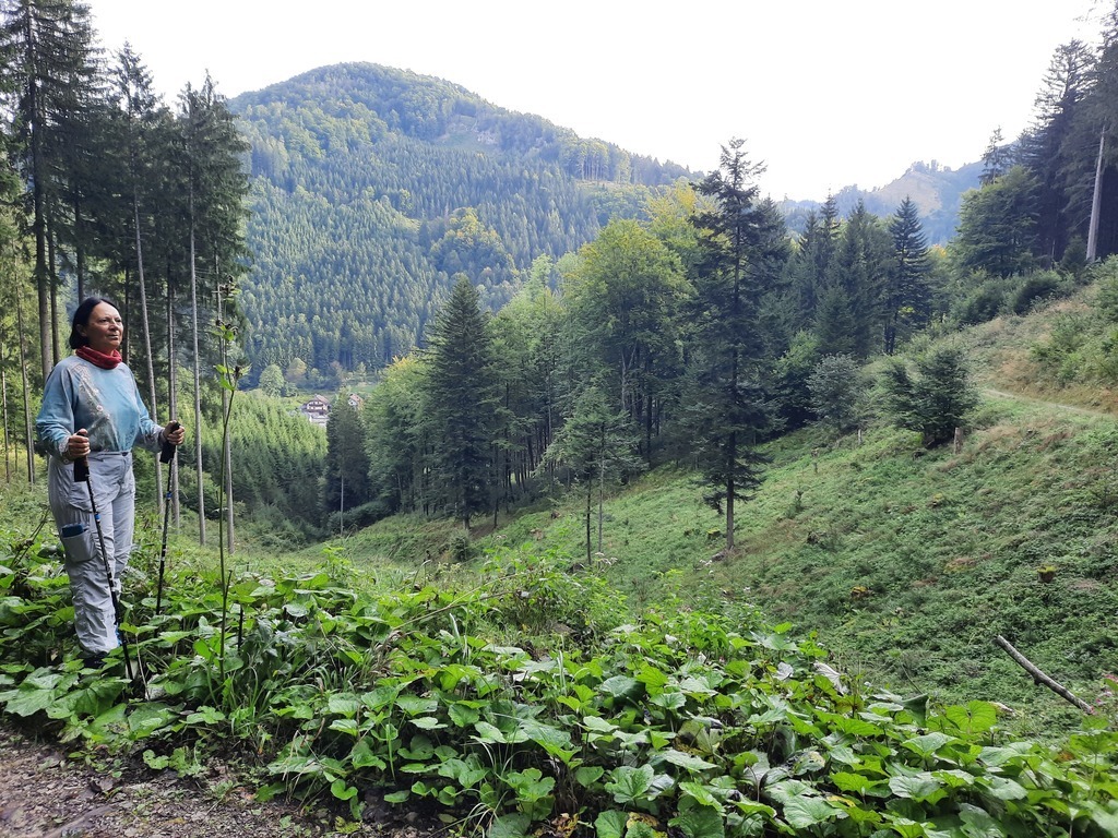 Landscape, in the back our house