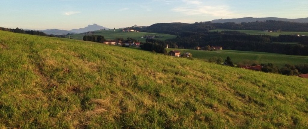 ...within walking distance from our home