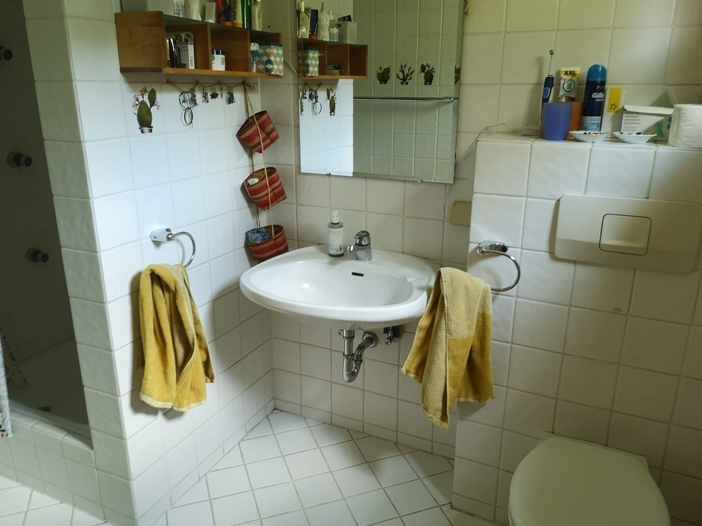 Bad im Erdgeschoss mit WC und Dusche