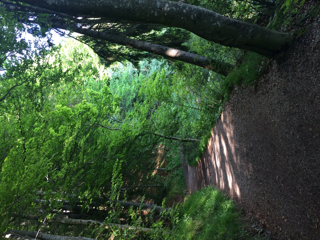 Hechtsee, Lake Hecht