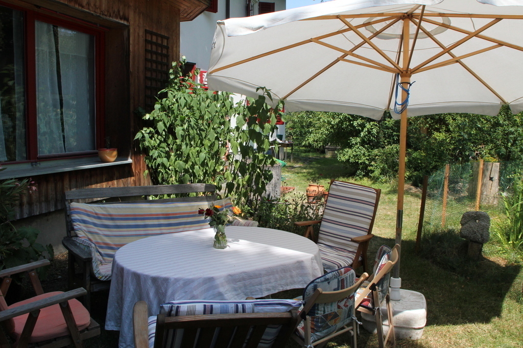 Garden in summertime