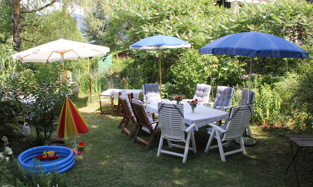 garden in summertime