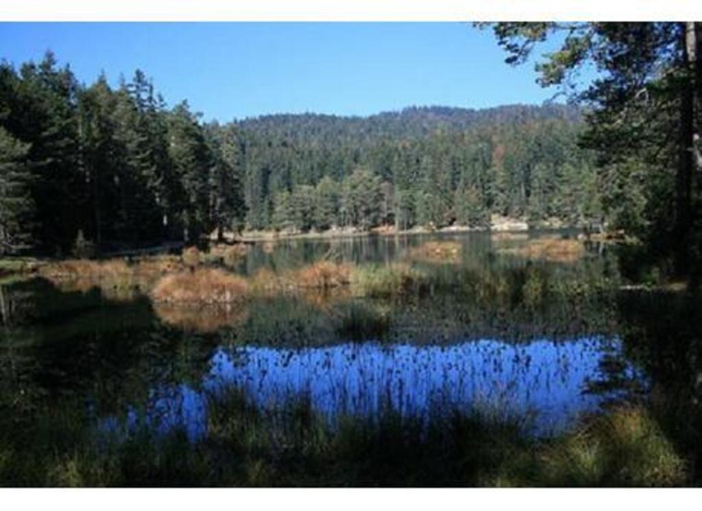 Möserer See near Telfs, lake Möserer