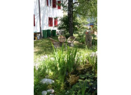 our garden and biotope
