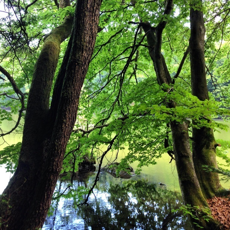 Bergsteiger See - Lake "Berglstein"