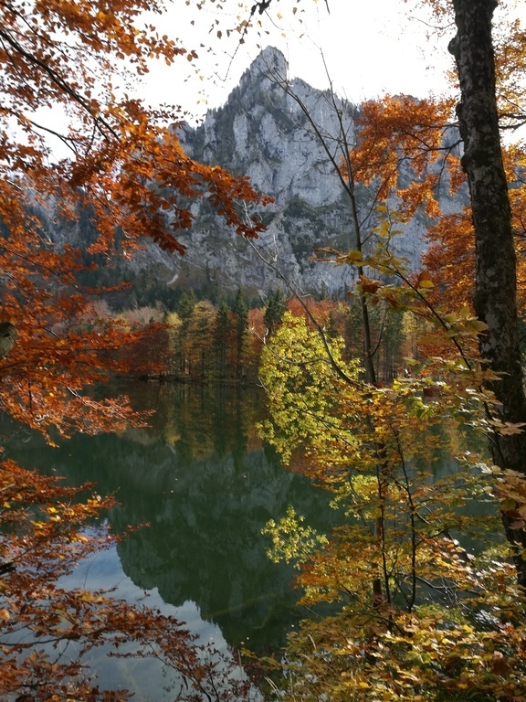Indian summer at lake Laudachsee
