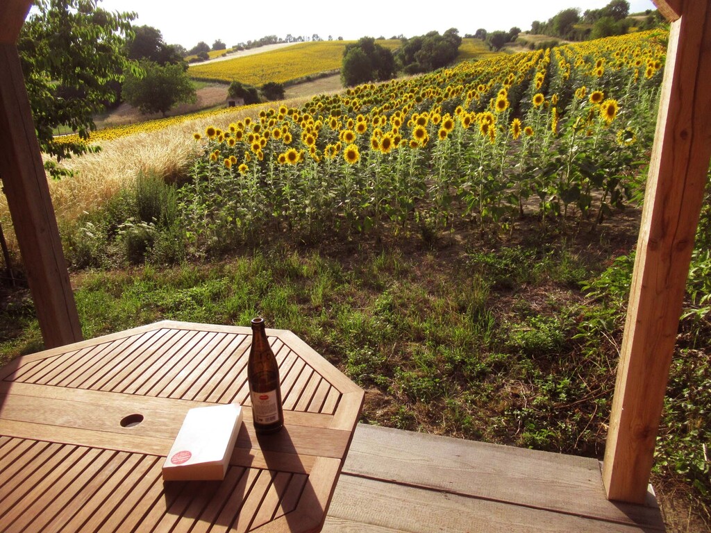 instead of television