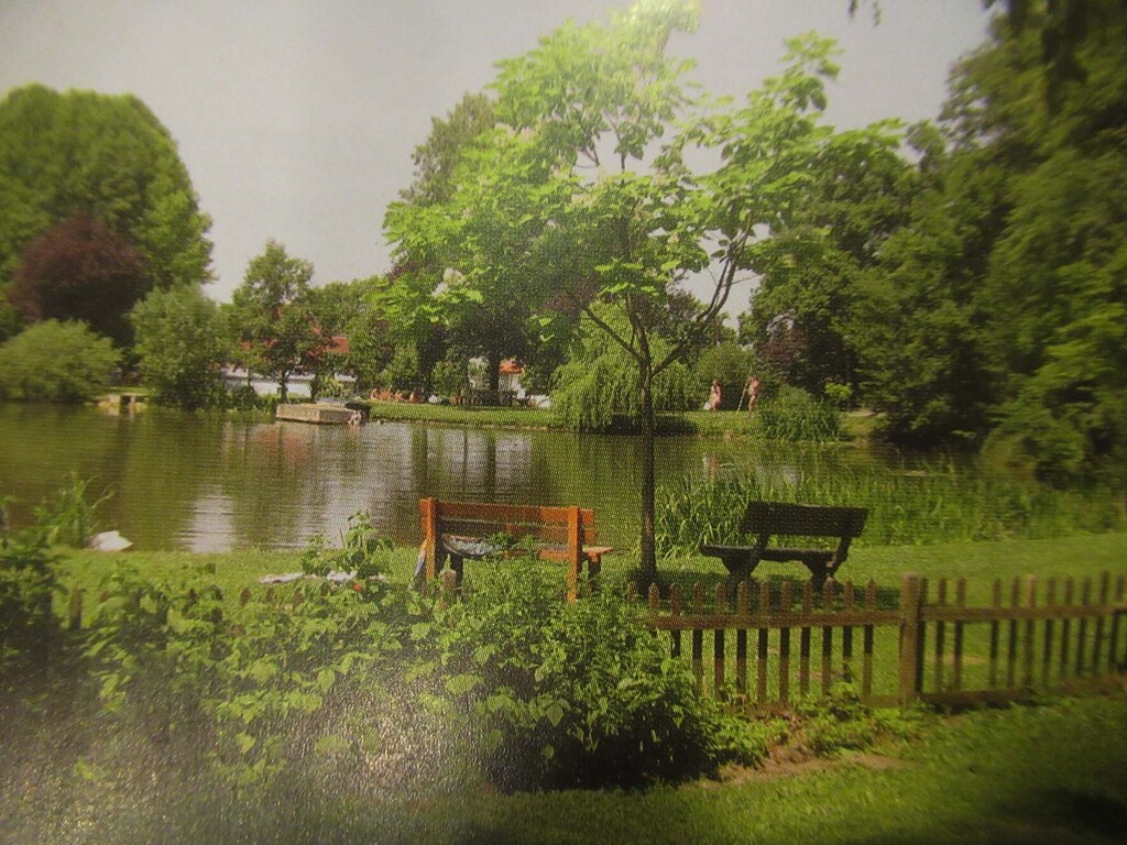 Small lake in the forest for swimming