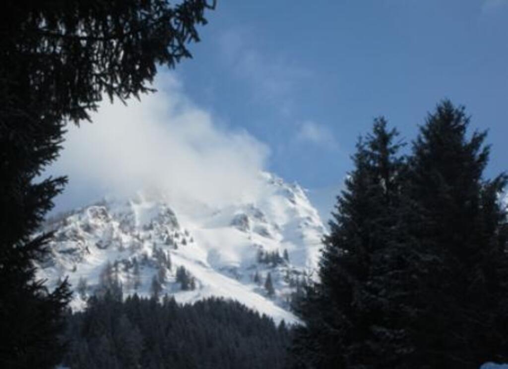 view out of the kitchen window