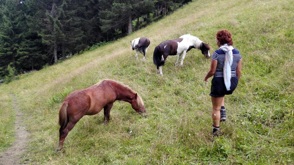 hiking down from Schloßalm this summer