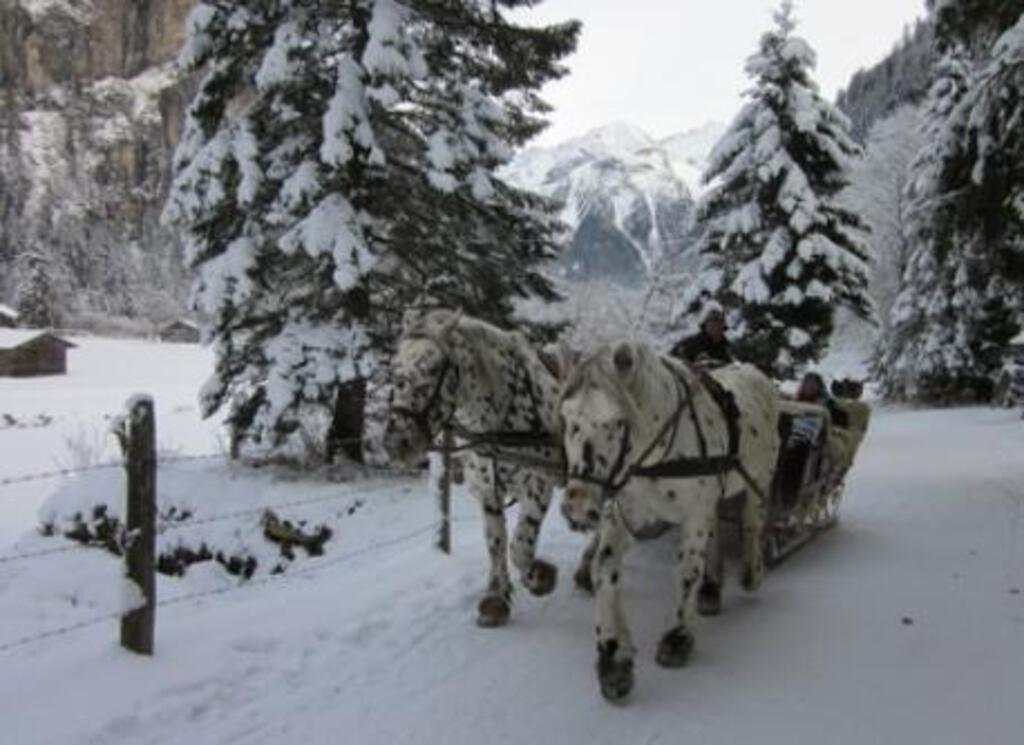 horse sleigh  ride from Grüner Baum to Posaun. lovely walk through the valley