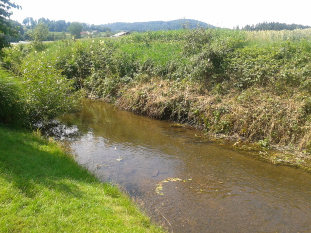 our own little stream