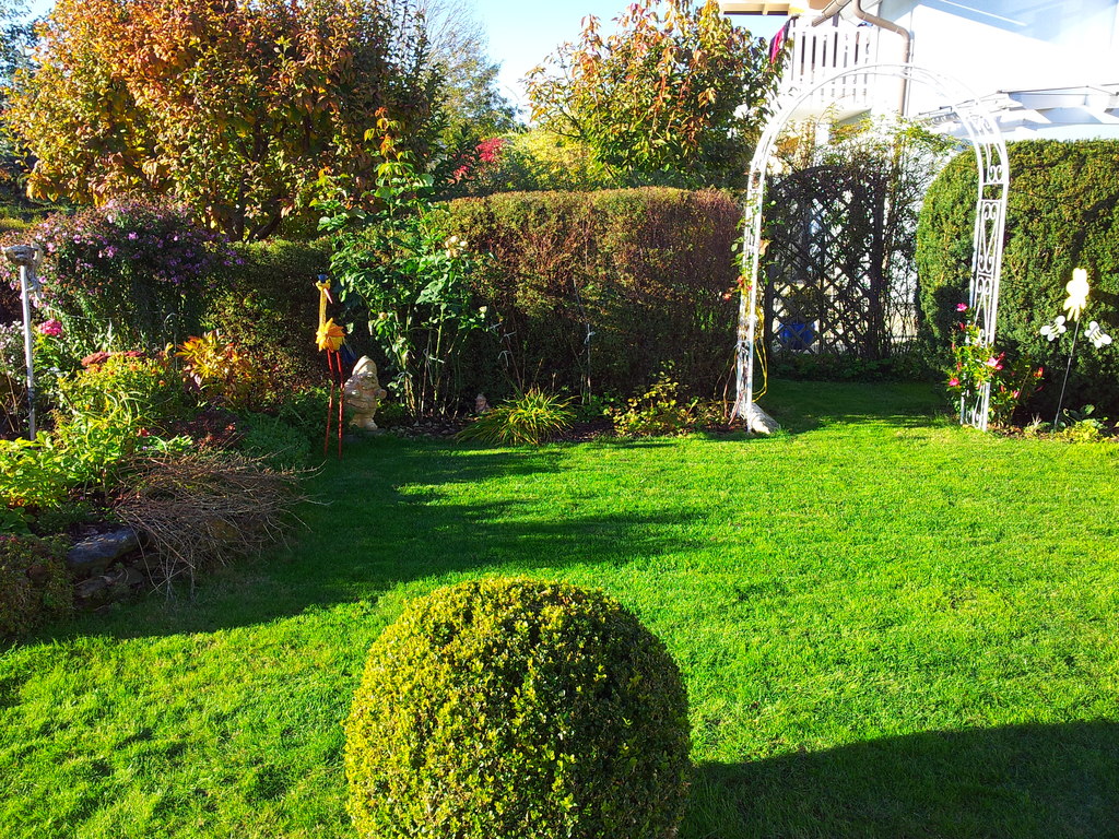 a rose arch connects us with our dear neighbours