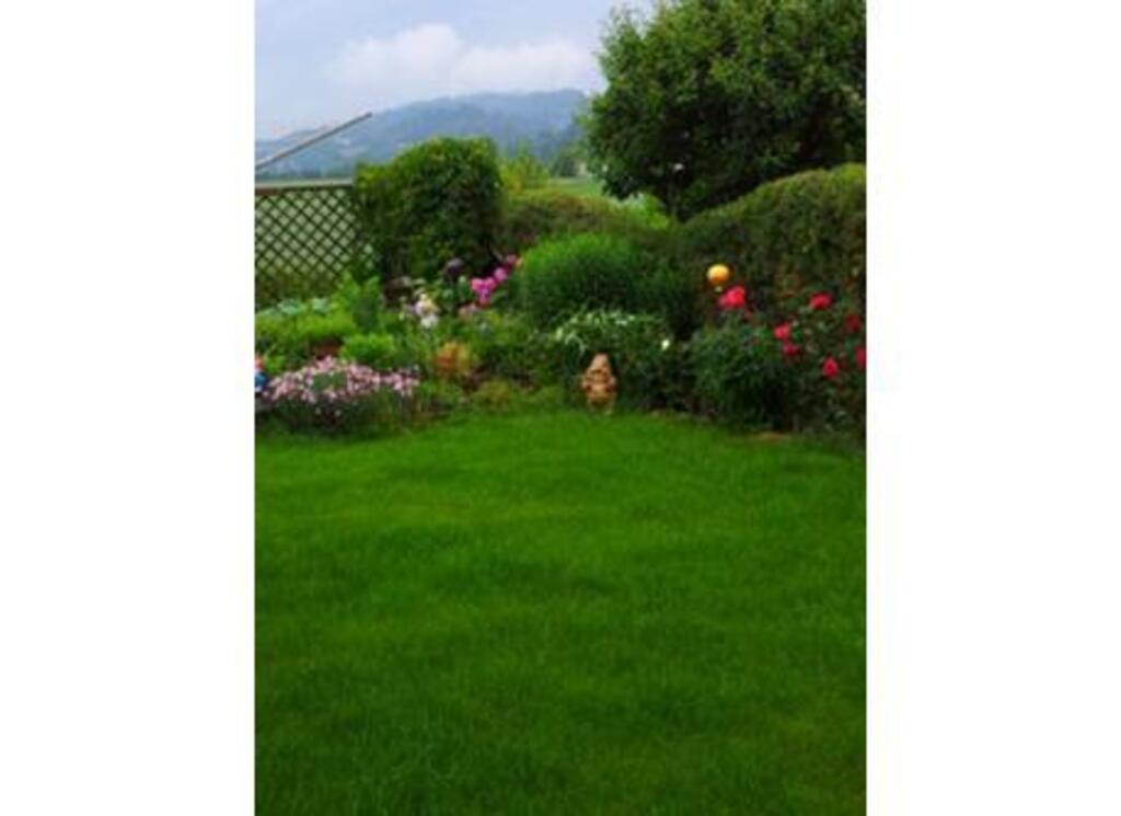 much green, flowers, lounge chairs,hammock - a garden to enjoy 