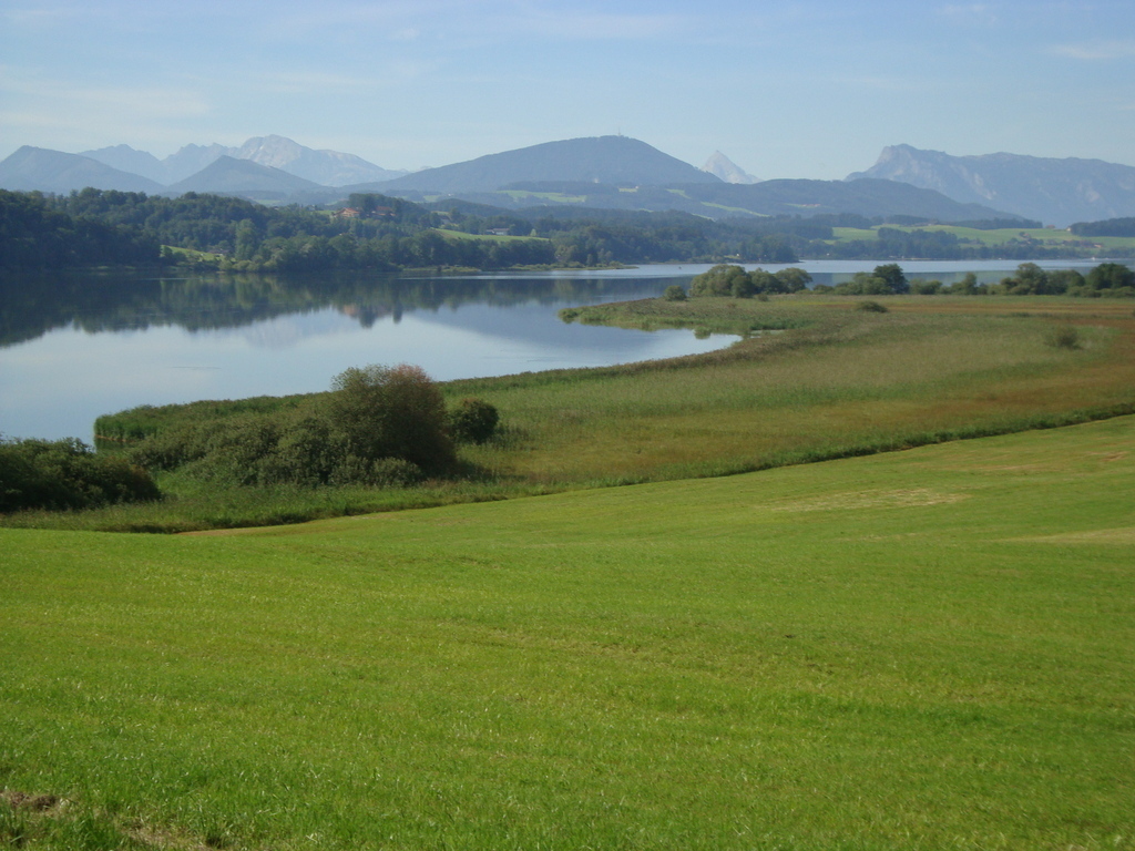 Wallersee