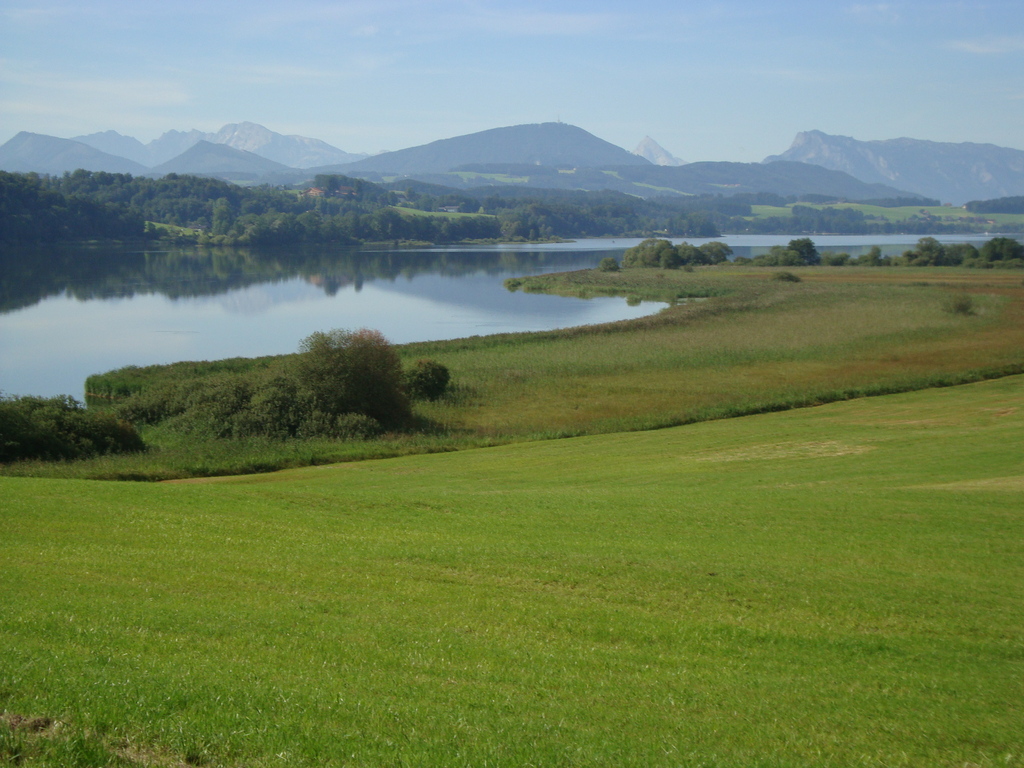 Wallersee