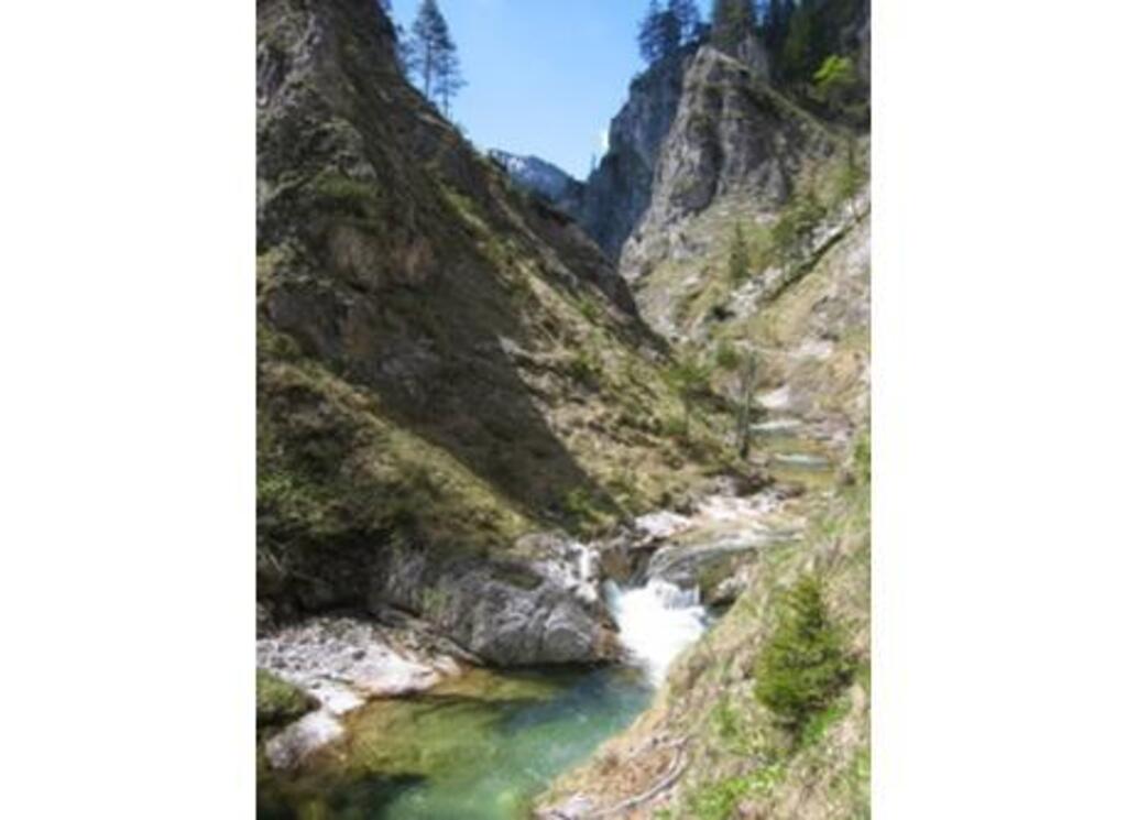 Hiking tour "Ötschergräben"