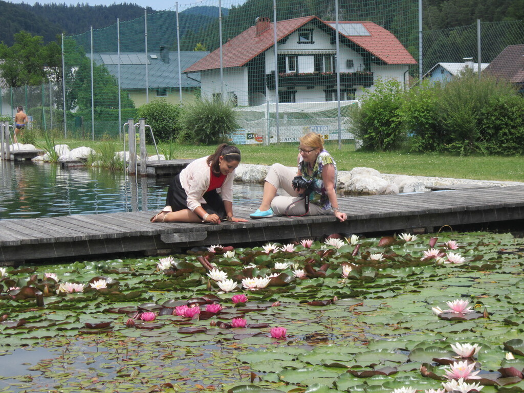Naturschwimmbad
