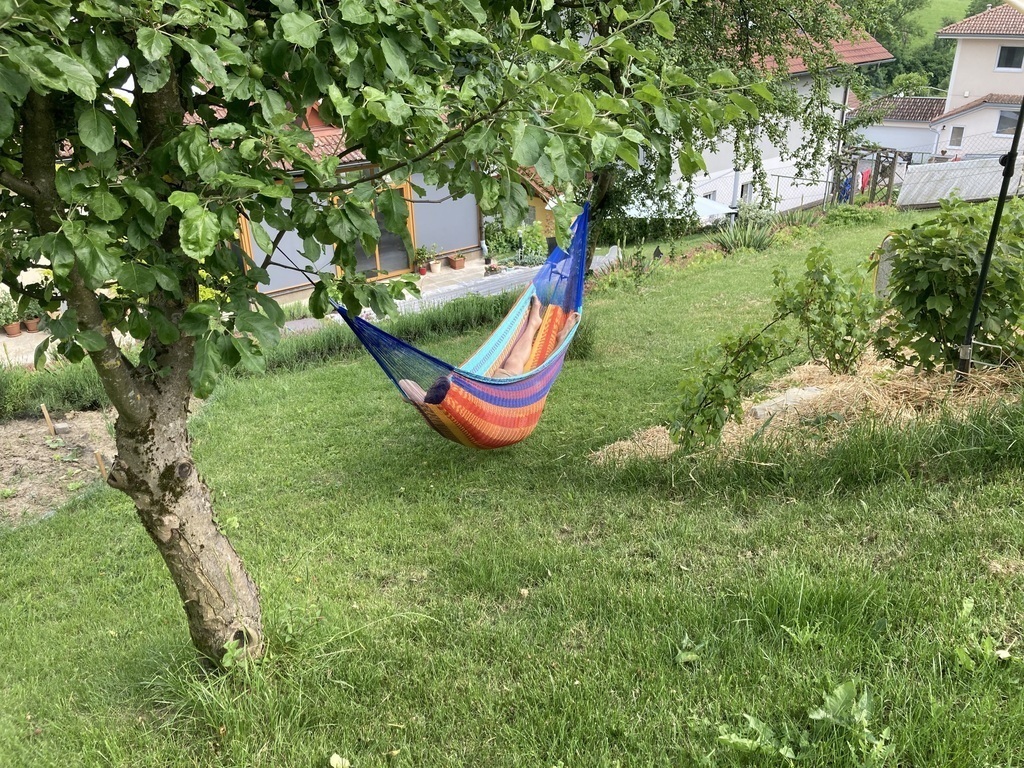 Hammock