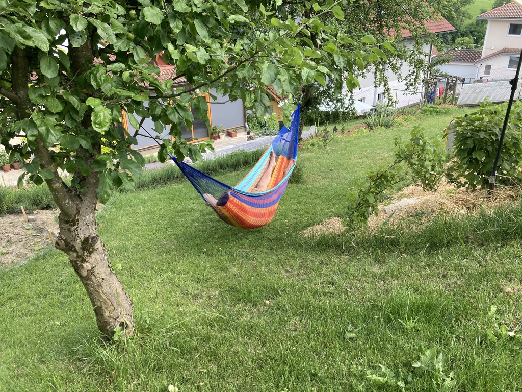 Hammock