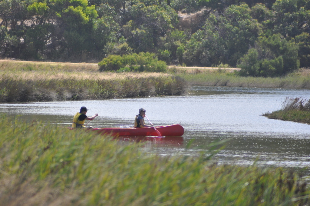 Canoeing at Aireys Inlet