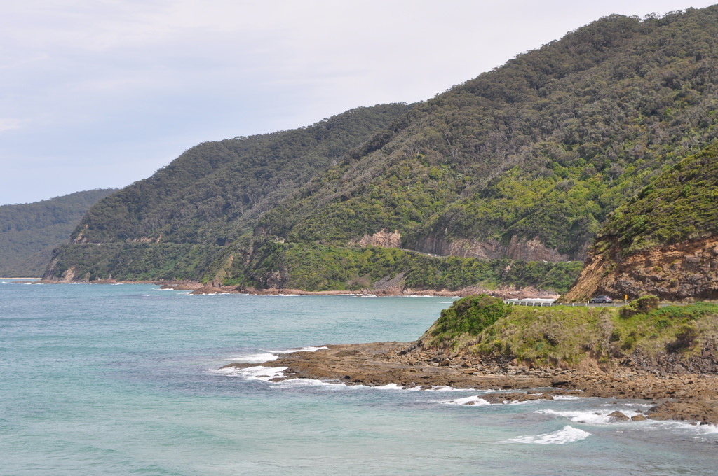  The Great Ocean Road hugs the coastline for about 100 kms.........a
fabulous road trip!!!