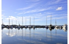 Albany Marina