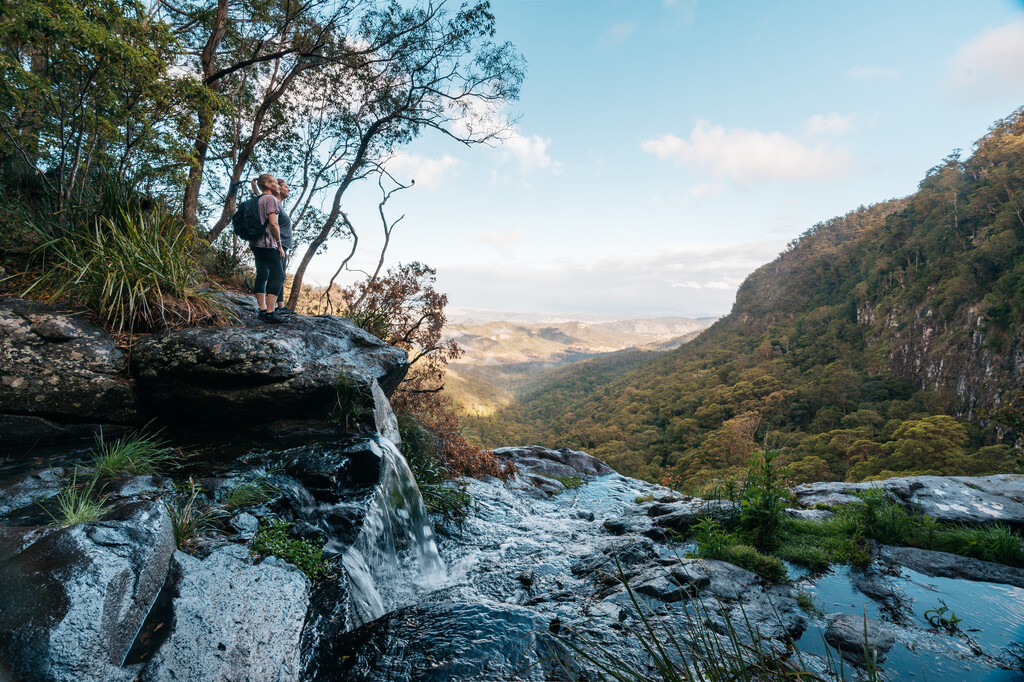 Lamington National Park - 2 hrs drive away