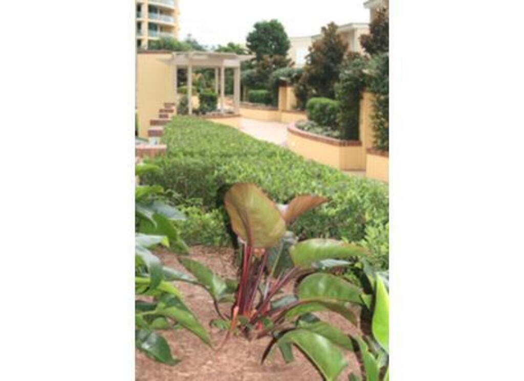 section of Bretts wharf gardens