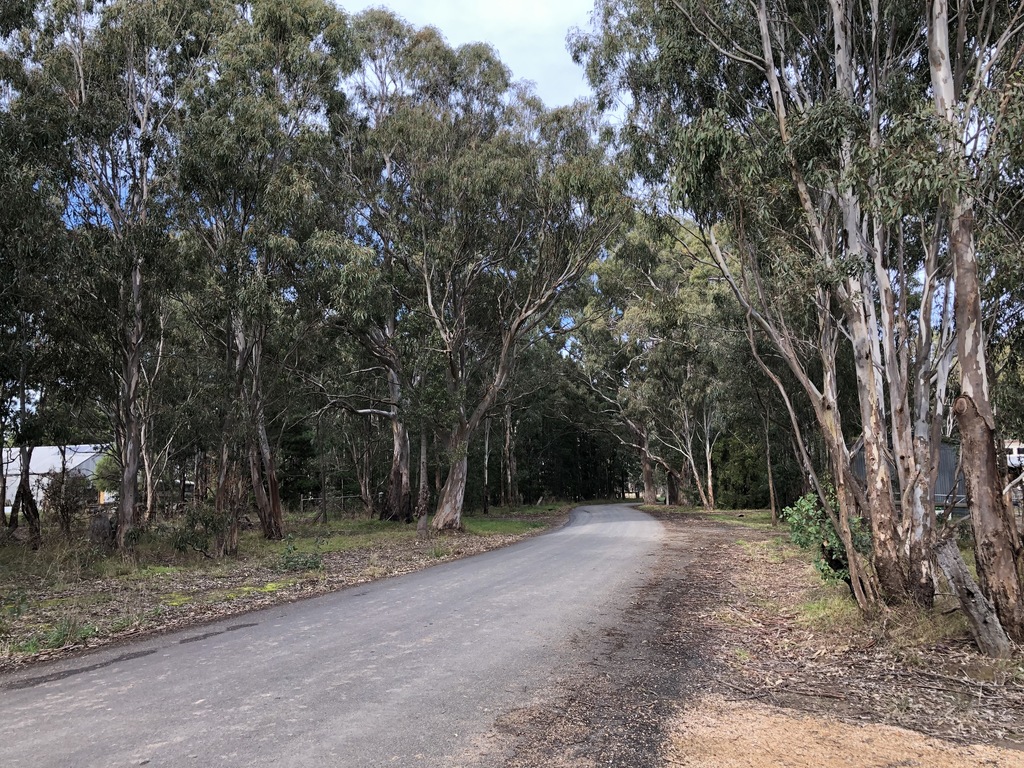 The road leading to the Redgum Reserve.