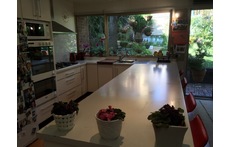 Kitchen attracts early morning sun.