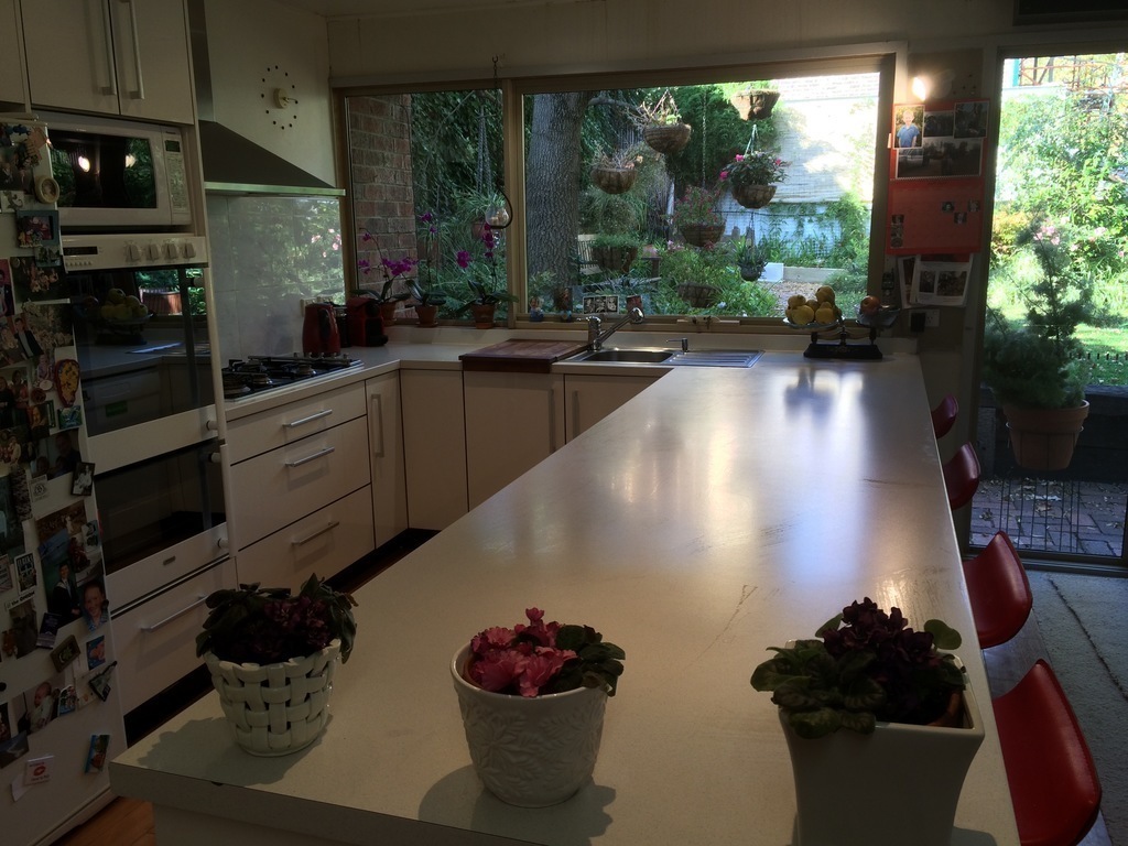 Kitchen attracts early morning sun.