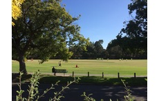 Playing fields opposite our home 