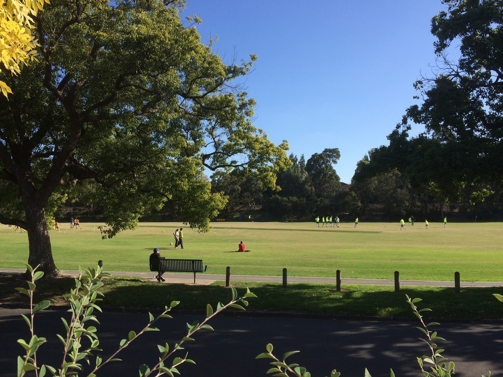 Playing fields opposite our home 