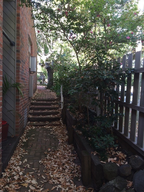 Autumn colour at our front entrance.