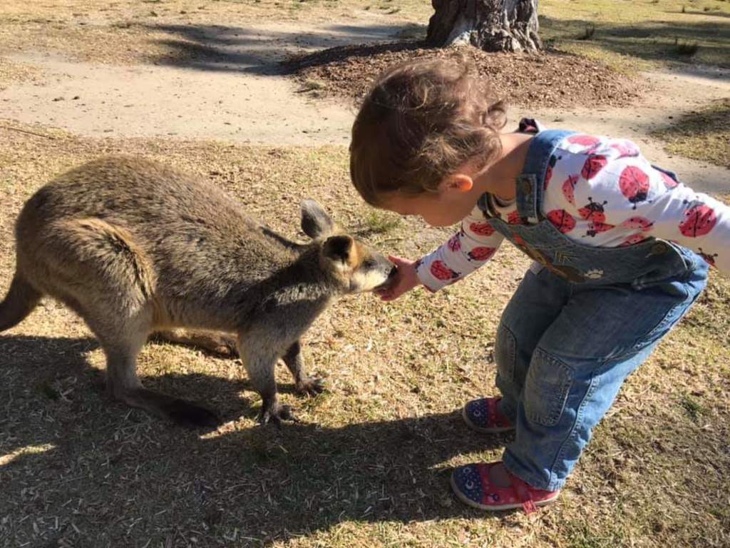 Feeding the kangaroos at Symbio Wildlife Park