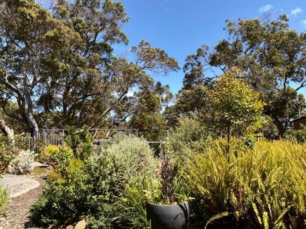 back garden view to bushland, lots of birds, owls at night.