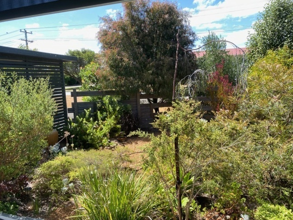 Front of house garden view