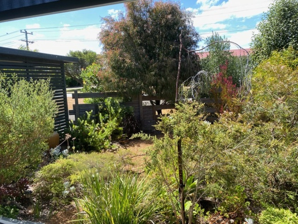 Front of house garden view
