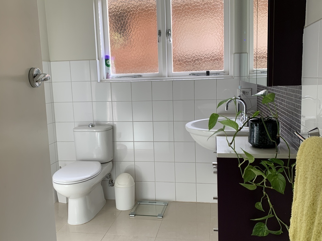 Ground floor bathroom 