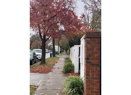 Our street in Autumn